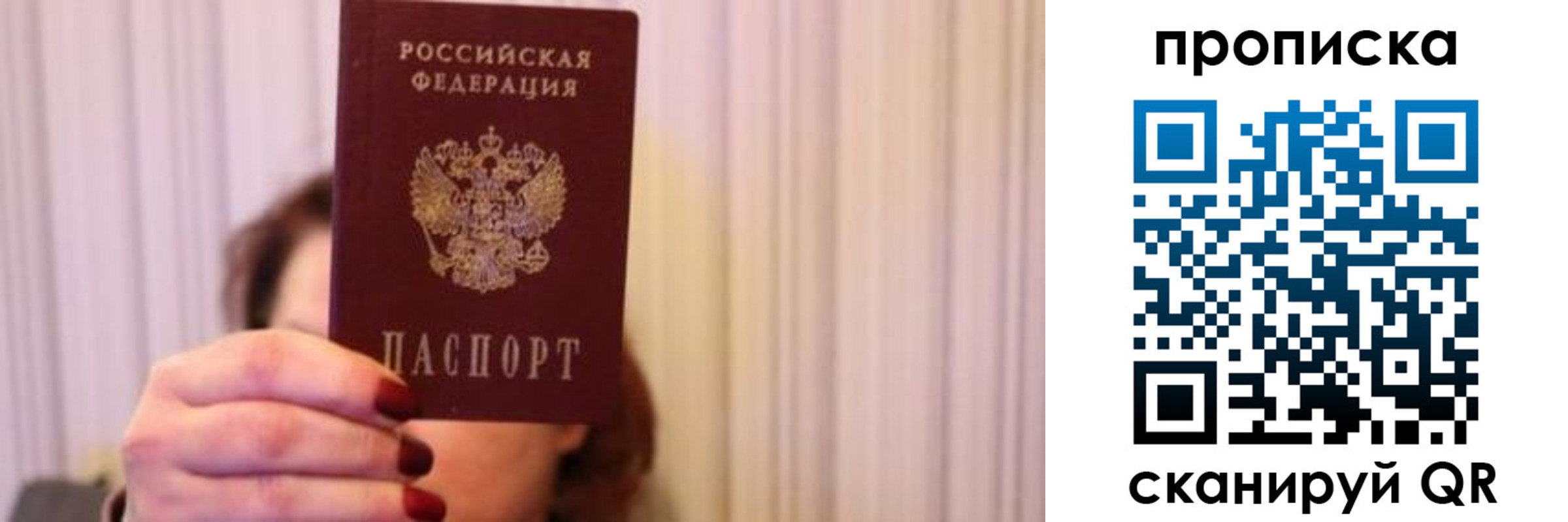 прописка поиск в Коле
