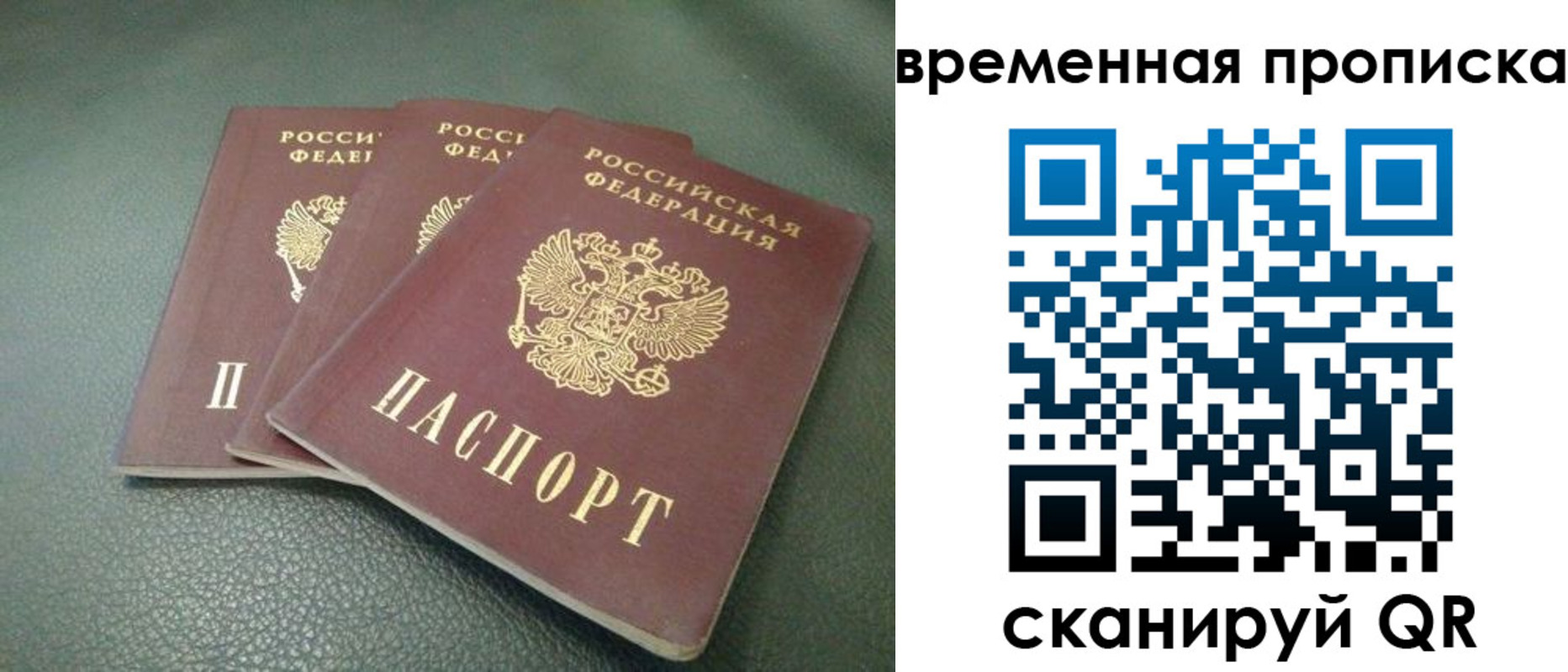 прописка гарантия в Коле